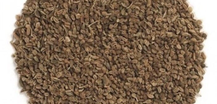 فوائد مغلي بذور الكرفس المذهله